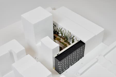 Plot 6 Social Housing